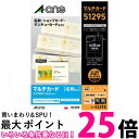 エーワン 名刺 マルチカード アイボリー 特厚口 100枚分 51295 送料無料 【SG97665】