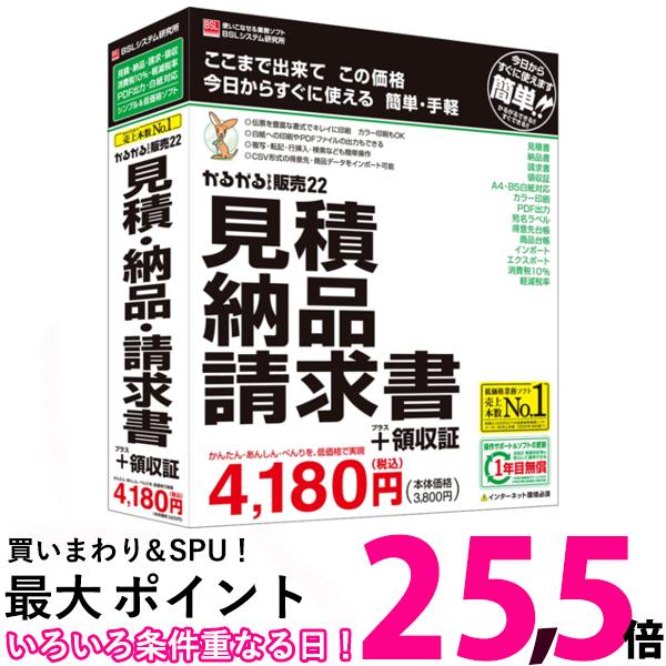 BSLシステム研究所 かるがるできる販売22 見積・納品・請求書+領収証 Windows用【SS49 ...