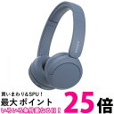 ソニー SONY ワイヤレスヘッドホン WH-CH520(L)【SS4548736142855】