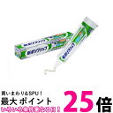 新ポリグリップ 部分 総入れ歯安定剤 極細ノズル 70g 【SB06245】