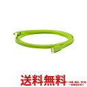 THINK RICH STOREで買える「オヤイデ電気 USBケーブル D+USB CLASS B/1.0 【SS4582387106125】」の画像です。価格は3,933円になります。