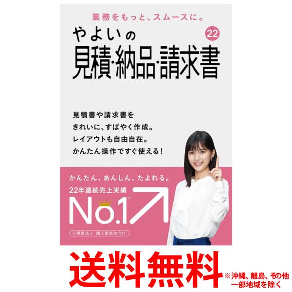 弥生 やよいの見積・納品・請求書 22 通常版 消費税法改正対応 【SS4956647066205】
