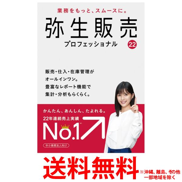 弥生 弥生販売 22 プロフェッショナル 通常版 消費税法改正対応【SS4956647145306】