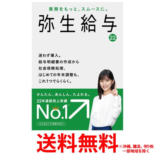 弥生 弥生給与 22 通常版 令和3年分年末調整対応【SS4956647350380】