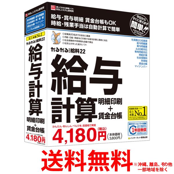 BSLシステム研究所 かるがるできる給料22 給与計算・明細印刷+賃金台帳 Windows用【SS4 ...