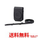 SONY ソフトキャリングケース LCS-RXG 【SS4548736016989】