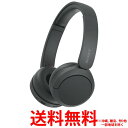 ソニー SONY ワイヤレスヘッドホン WH-CH520(B)【SS4548736142367】