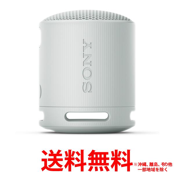 ワイヤレススピーカー SONY ワイヤレススピーカー SRS-XB100/HC【SS4548736146082】