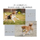 2個セット 犬 猫 ボール おやつボール おやつ おもちゃ 噛む 知育 餌入れ 歯磨きボール ストレス解消 耐久性 小型犬 (管理S) 送料無料 【SK20645】 3