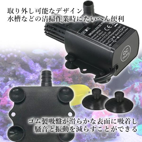 2�ĥ��å� ����ݥ�� ���� �Ų� ���Ψ ��Υ��� ���� ʮ�� �֤���� �֥�å� ����ѥ��� (����S) ��SK30669��