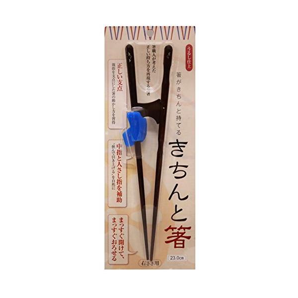 イシダ 矯正箸 ブルー きちんと箸 おとな用 右利き 約23cm 箸がきちんと持てる 【SB02348】