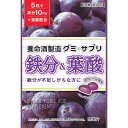 養命酒製造 グミ×サプリ 鉄分&葉酸 40g サプリメント 健康食品 【SB06339】(4)