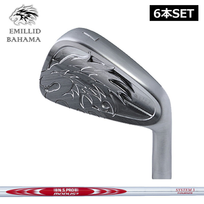 樂天商城 - エミリッド バハマ EB-901 アイアンセット 6本組(#5-PW) 日本シャフト N.S.PRO MODUS3 SYSTEM3 TOUR 125 装着 NS スチール EMILLID BAHAMA 【カスタム】【新品】 シャフト 地クラブ