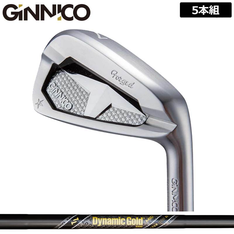 樂天商城 - ジニコ PC アイアン 5本組(＃6-P) ダイナミックゴールド MID 95 TOUR ISSUE Gunmetal 装着 ミッド ガンメタ 【カスタム】【新品】 イオンスポーツ GINNICO ピーシー セット ゴルフ クラブ