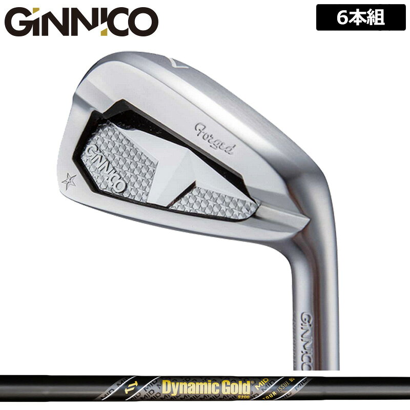 樂天商城 - ジニコ PC アイアン 6本組(＃5-P) ダイナミックゴールド MID 95 TOUR ISSUE Gunmetal 装着 ミッド ガンメタ 【カスタム】【新品】 イオンスポーツ GINNICO ピーシー セット ゴルフ クラブ