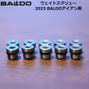BALDO バルド チューニング用ウェイト 2025 BALDO TTアイアン専用 1.5g/2.5g/3.5g/4.5g/5.5g 2個セット 【メール便発送...