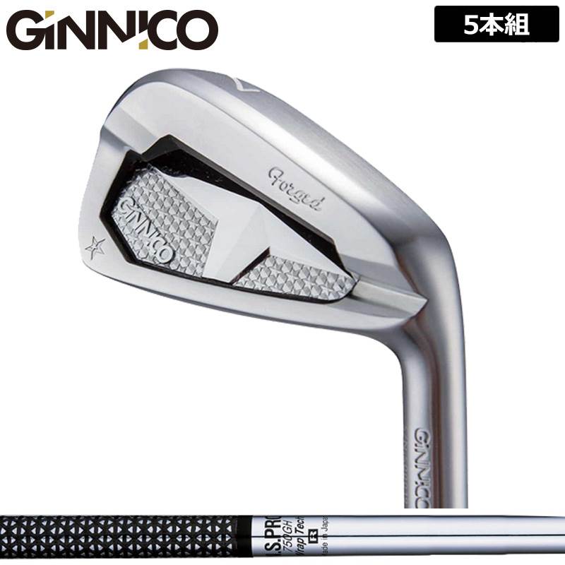 Rakuten - ジニコ PC アイアン 5本組(＃6-P) 日本シャフト N.S.PRO 750GH 装着 NS スチール 【カスタム】【新品】 イオンスポーツ GINNICO ピーシー セット ゴルフ クラブ