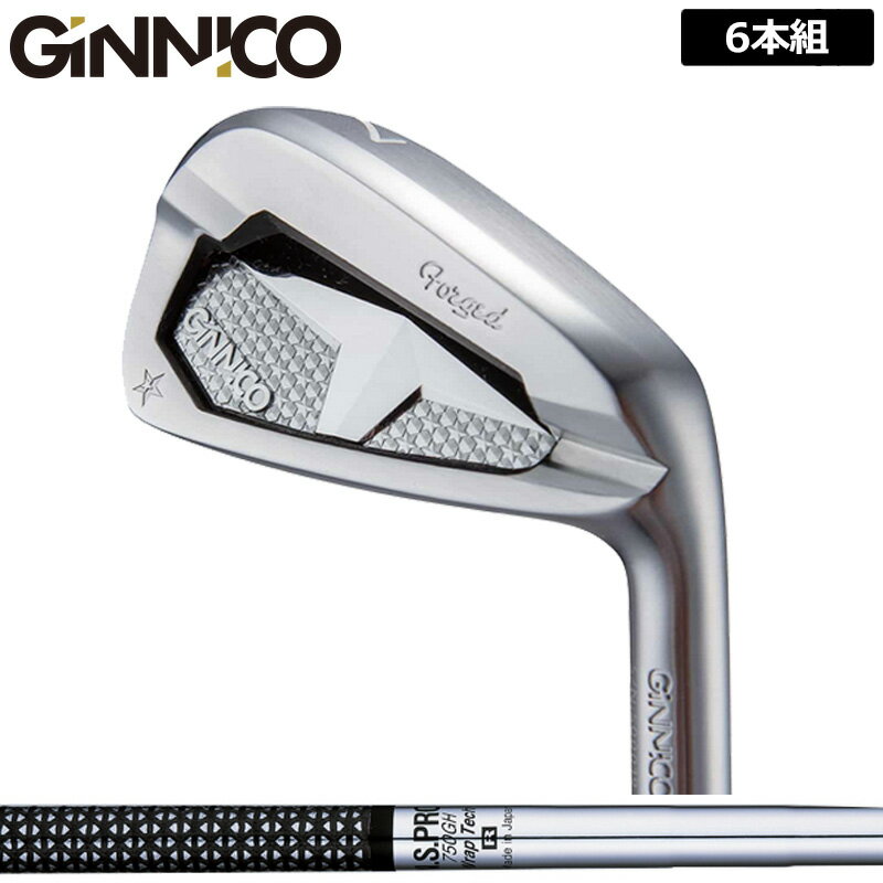 EON SPORTS - ジニコ PC アイアン 6本組(＃5-P) 日本シャフト N.S.PRO 750GH 装着 NS スチール 【カスタム】【新品】 イオンスポーツ GINNICO ピーシー セット ゴルフ クラブ