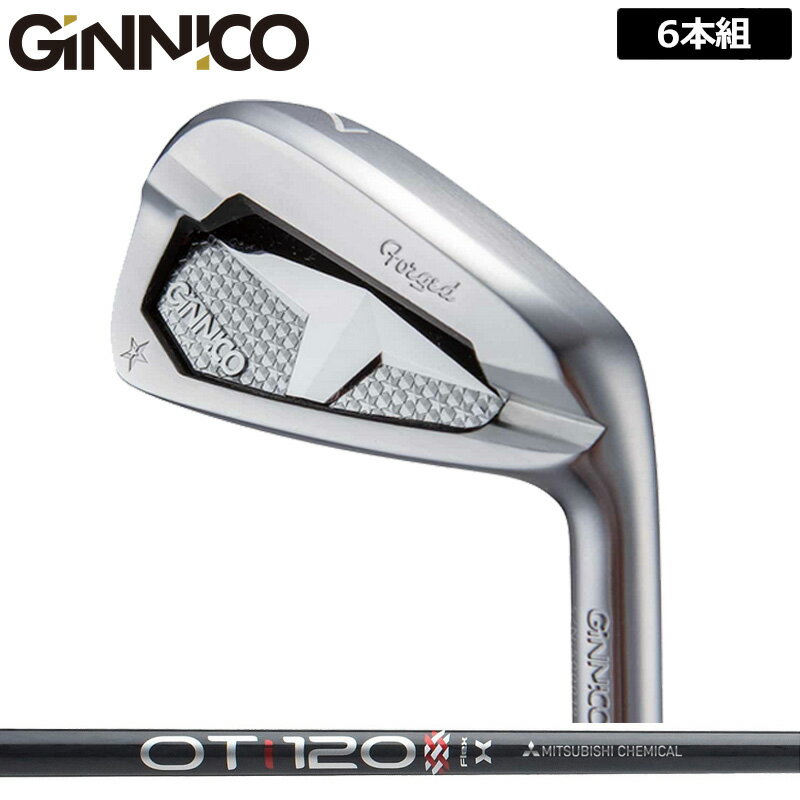 ジニコ PC アイアン 6本組(＃5-P) 三菱ケミカル OT TOUR IRON 装着 ツアー 【カスタム】【新品】 イオンスポーツ GINNICO ピーシー セット ゴルフ クラブ