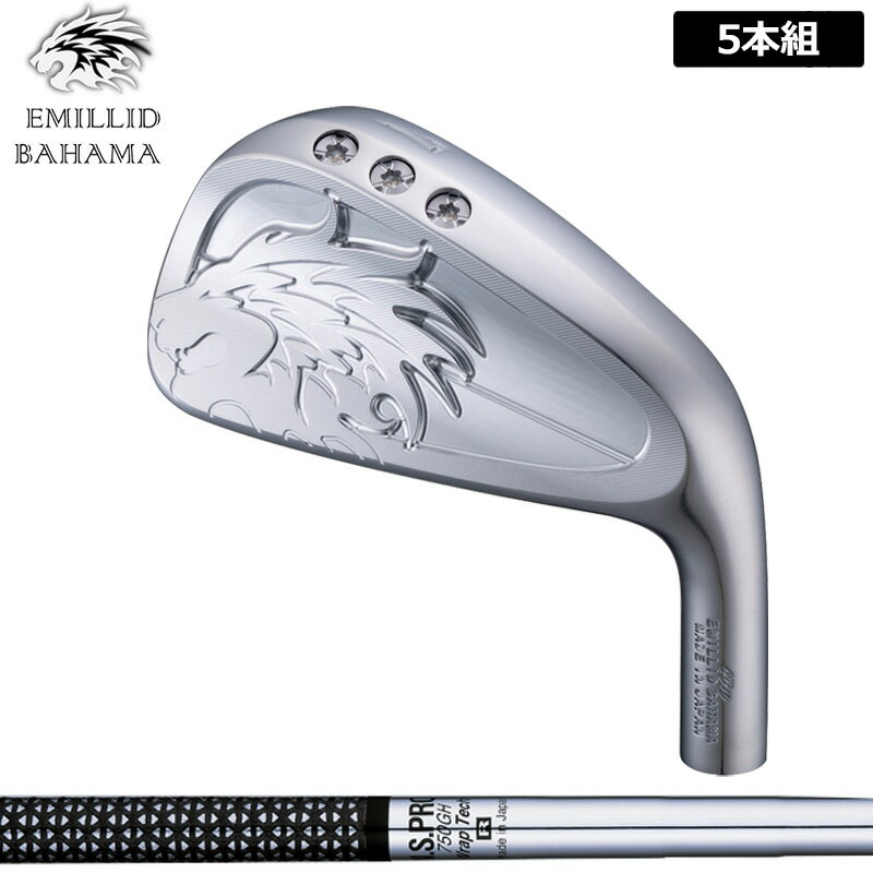 樂天商城 - エミリッド バハマ CV10 アイアン 5本組(#6-P) 日本シャフト N.S.PRO 750GH 装着 NS スチール 【カスタム】【新品】 EMILLID BAHAMA 中空 セット