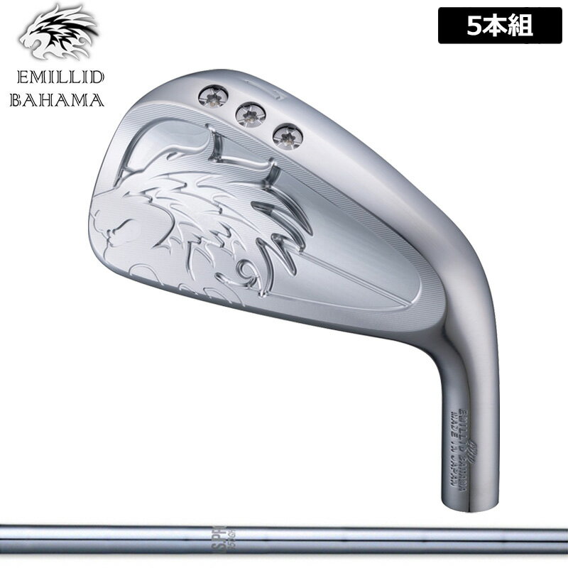 Rakuten - エミリッド バハマ CV10 アイアン 5本組(#6-P) 日本シャフト N.S.PRO 950GH 装着 NS スチール 【カスタム】【新品】 EMILLID BAHAMA 中空 セット