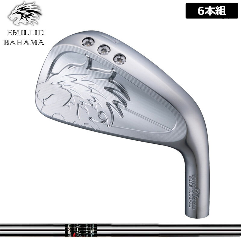 Rakuten - エミリッド バハマ CV10 アイアン 6本組(#5-P) トゥルーテンパー Elevate MPH 95 装着 エレベート 【カスタム】【新品】 EMILLID BAHAMA 中空 セット