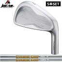 JBEAM T/20 アイアンセット 5本組(#6-PW) ダイナミックゴールド 120VSS/95VSS PRO 装着 【カスタム】【新品】 T20 Jビーム スチールシャフト 地クラブ トゥルーテンパー DG Dynamic Gold