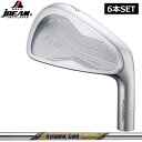 JBEAM T/20 アイアンセット 6本組(#5-PW) ダイナミックゴールド EX TOURISSUE 装着 【カスタム】【新品】 T20 Jビーム スチールシャフト 地クラブ トゥルーテンパー DG Dynamic Gold
