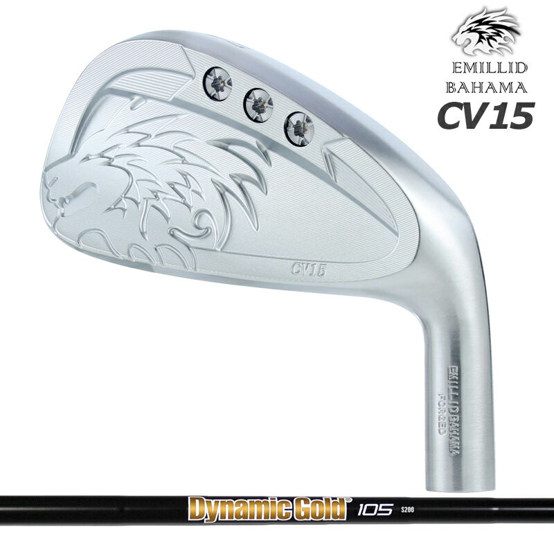 Rakuten - エミリッド バハマ CV15 中空 アイアン 6本組 トゥルーテンパー ダイナミックゴールド 105 ONYX BLACK 装着 オニキス 【カスタム】【新品】 EMILLID BAHAMA クラブ セット