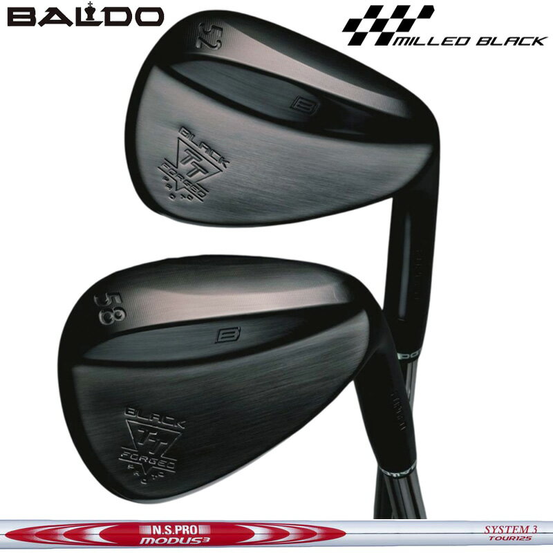 Х 2025 TT ե å ץ ֥å ܥե N.S.PRO MODUS3 SYSTEM3 TOUR 125...