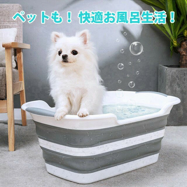 �ڥåȥХ� ���Х����� �ڥåȥХ����� ���餤 ���Τ���Ϥ ���ѥХ����� �ڥå��ѥХ����� �ɥå��Х� �ޤꤿ���ߥХ����� ǭ�Τ���Ϥ �����ȥɥ� ���եȥ��� ������ �Х��ڥå� ���եȥХ����� ���ɥ꡼�Х����å� �ޤꤿ���ߤ��餤