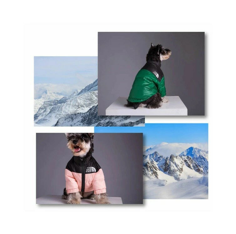 犬服 犬 ダウンジャケット ペットウエア 犬 服 防寒 ジャケット あったか ドッグウエア ドッグフェイス パロディ パロ服 the dog face バイカラー スタンドネック ジップアップ ジャケット散歩 あったか 秋 冬 ネコポス 犬用ダウンジャケット