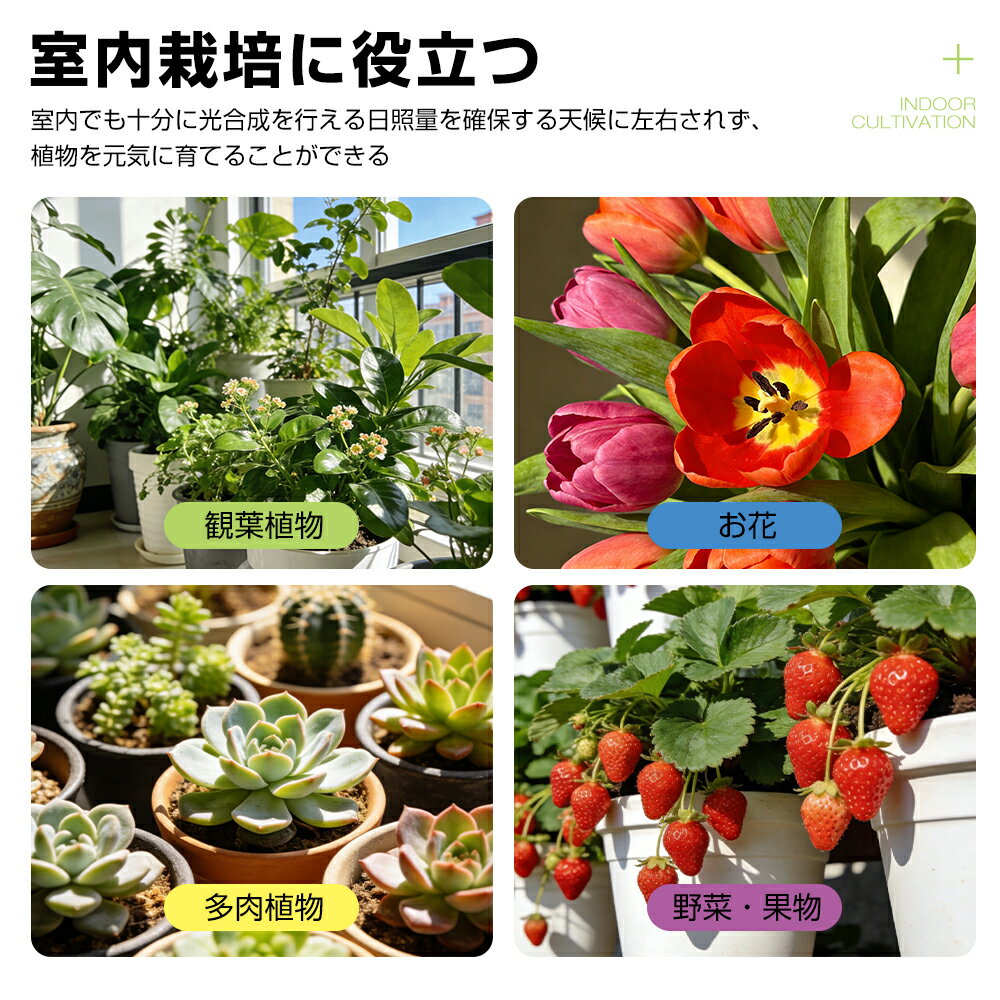 ��ʪ�����饤�� LED �ե륹�ڥ��ȥ� e26 24W 5800K ���ݥåȥ饤��