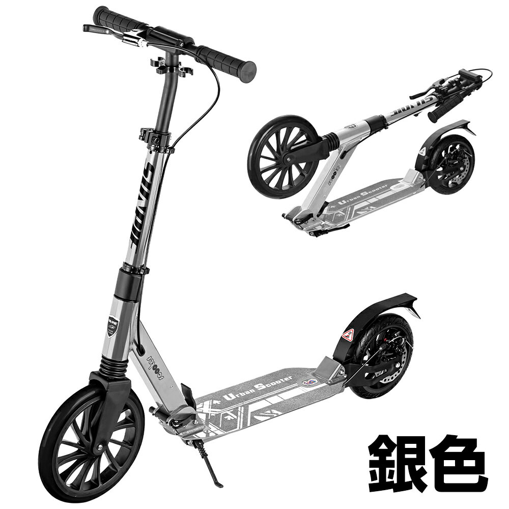 楽天市場】キックボード（カラーシルバー）（スケートボード