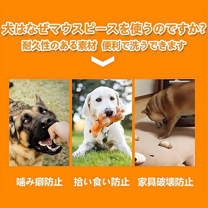 サンプル画像2