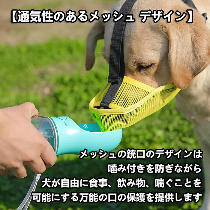 サンプル画像3