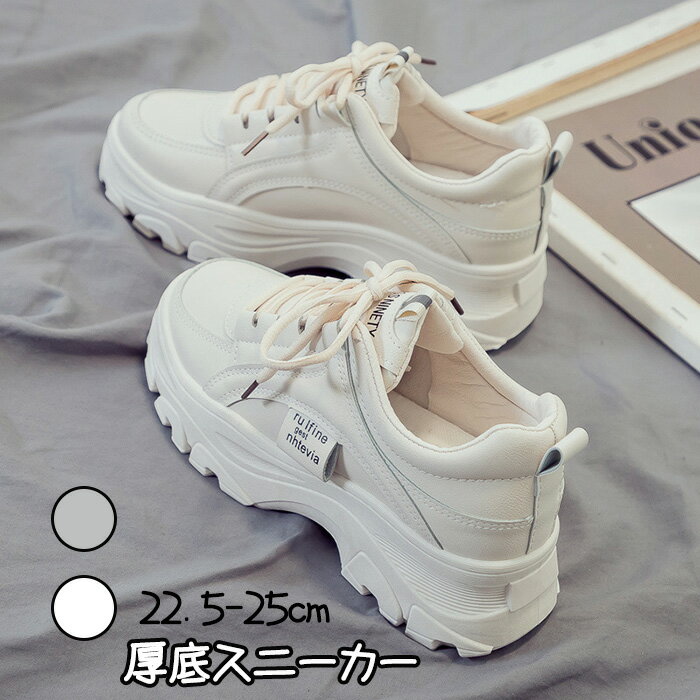 ��3000���¼�2850�� P5!�紶�պס۸��쥹�ˡ����� ��ǥ����� ���塼�� ���ˡ����� �ڹ� ���������󥰥��塼�� ����ҡ��� �� ������� ���襤�� ��...