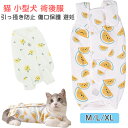 【新発売記念価格!】猫 術後服 小型犬 保護服 術後ウェア マジックテープ オス メス スイカ柄 傷口保護腹部保護傷舐め 引っ掻き防止 傷口保護 避妊 傷舐め ...