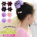 【店長おすすめ】おだんごネット 同色2個セット バレエおだんごネット シニヨン バレエ ヘアネット ヘアアクセサリー 団子用 ウィッグネット まとめ髪ネット ネ...
