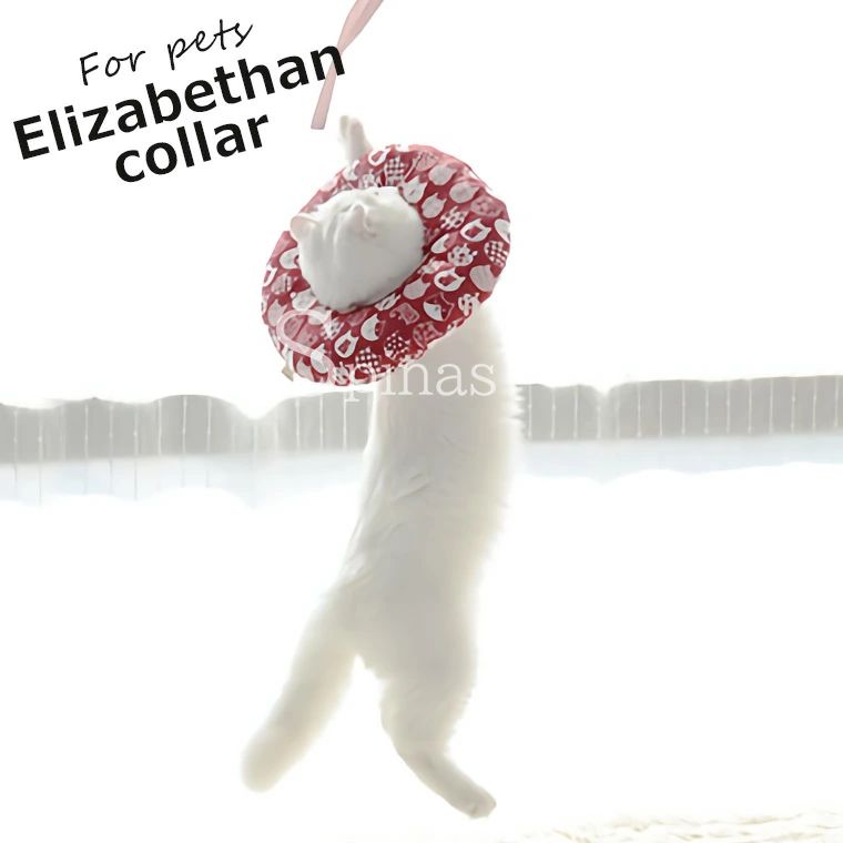 【8%OFFで3117円！ 7/11まで】 可愛い猫柄！エリザベスカラー エリカラ 犬用 猫用 ...