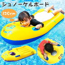【P10倍→実質2,502円】【120cm】子供用 浮き輪 シュノーケルボード 120cm 浮輪 ビッグ 大きい フロート うきわ 浮き具 ボートマット フロー...