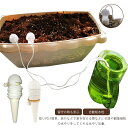 【今だけ!限定価格2,592円→2,160円 9/11迄】水やり器 水遣り 小型 自動給水器 水やり当番 毛細管現象 自動給水栓 園芸 ガーデニング 植物 水や...