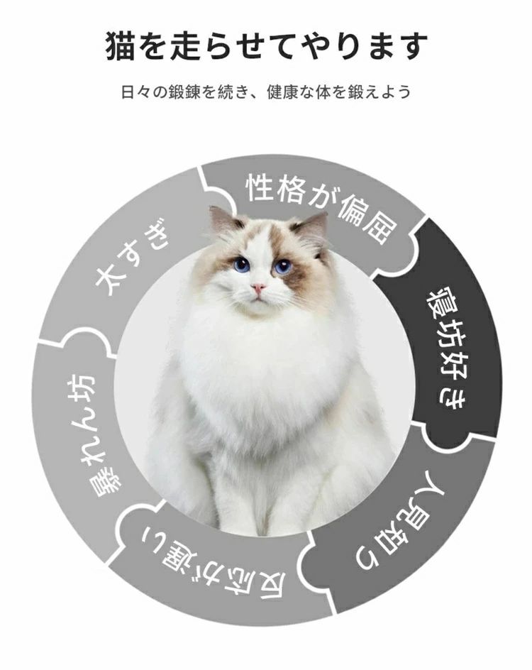 sunlightの【店長おすすめ】 キャット ホイール 猫 ランニングホイール キャットウォーク キャット運動 鍛錬 鍛える 猫回し車 ローラーミュート猫 ネコ ホイール 猫のトレッドミルの車輪｜アングル3