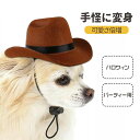 【新発売記念価格!】超絶エモ可愛い ハロウィン仮装 猫用帽子 猫被り物 ライオン コスプレキャップ かぶりもの 着脱簡単 猫ライオンたてがみ ネコ帽子 耳付きペット服 ペット仮装 猫仮装 猫用犬用ウィッグ 猫の服 たてがみ ウィッグ 耳付き