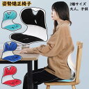 【期間限定 8,176円→4,088円!6/4まで】姿勢サポートチェア 子供 大人 姿勢矯正 椅子 骨盤痛み 座椅子 低反発 クッション オフィス 腰 肩凝り 腰痛 対策 骨骼ケア 姿勢が良くなる 椅子 リクライニング ゲーム 読書 持ち運び 運転 いす 在宅勤務 姿勢補正シート 猫背改善(4)