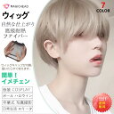 【限定記念価格!】ウィッグ 二次元斜め前髪短直髪かっこいい男女偽正太偽毛男女兼用灰色擬似頭皮整頂かつらカバー