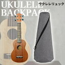 \期間限定★50%OFF&P10倍で2,923円! 8/24迄/ウクレレケース ソプラノ リュック ソプラノサイズ ウクレレ用 (グレー) 両掛け ウクレレ ケース 初心者