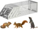 \期間限定★50%OFF&P10倍で2,041円! 8/24迄/ネズミ捕りネズミ捕獲機 害獣捕獲機 ステンレス製 ハツカネズミ 罠 好適 マウス や ハムスター...