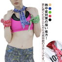 \期間限定★50%OFF&P10倍で1,378円! 8/24迄/ネッククーラー スカーフ 2本セット レディース メンズ 冷却スカーフ 長時間持続 ひんやり 冷...