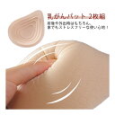 パッド 2枚組 パット 乳がん用 肩こり ボディメイク バスト補正 乳がん用 乳がんパット 軽量 フルカップ 術後 全摘 2枚組 全摘 再建 温存 補整 乳癌 ...
